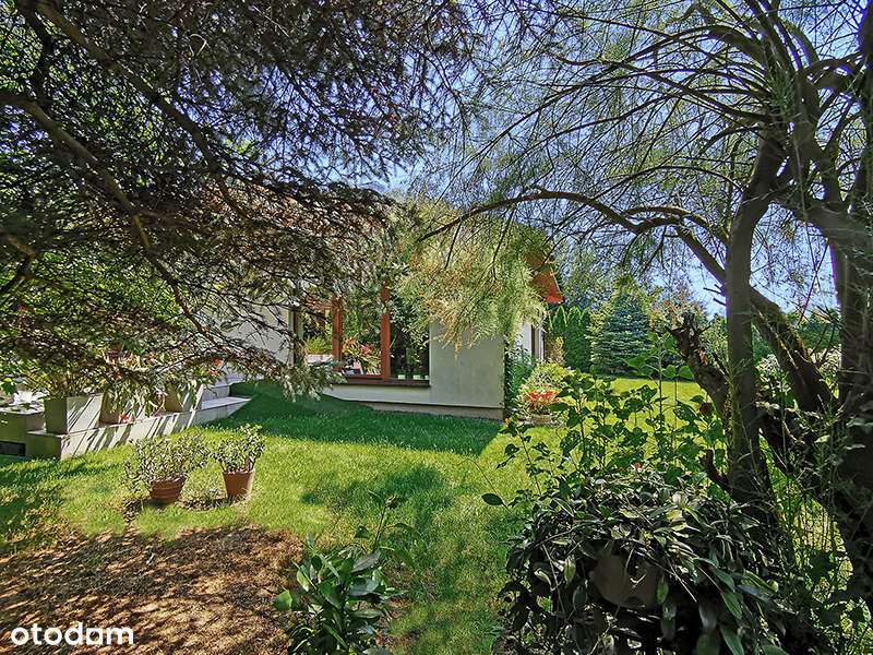 Parterowy dom blisko centrum miasta-19