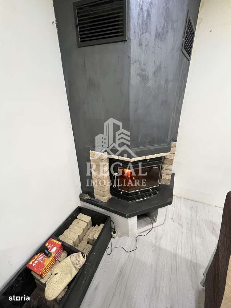 Două case individuale de vânzare în Teliuc –ideale pentru două familii-5