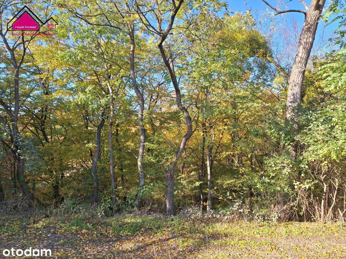 Unikatowa działka dla konesera ciszy i przestrzeni-1