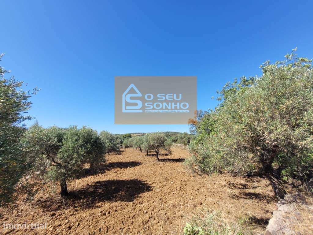 Terreno Rústico - 1.200 M² - Grande imagem: 5/10