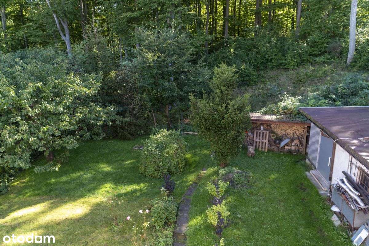 Gdynia  Witomino dom przy lesie!-19