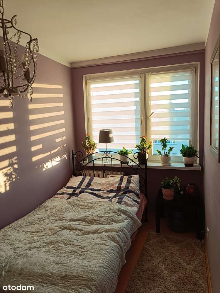 3 pokoje| 47,2 m²| 4 piętro| osobna kuchnia| spółdzielczo-własnościowe - Pełny obrazek: 4/15