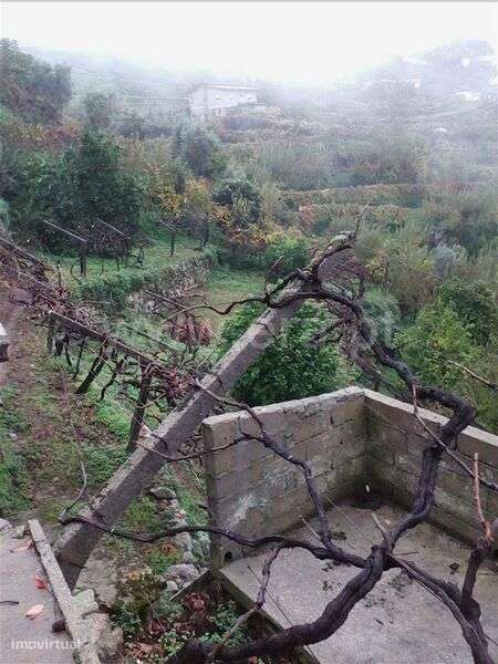 Lote / Baião, Baião (Santa Leocádia) e Mesquinhata - Grande imagem: 3/6