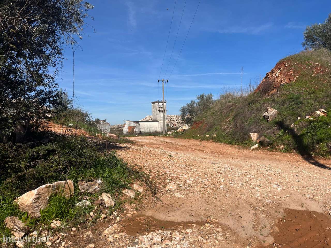 PEDREIRA | OLIVAL | VENDA | BORBA-13