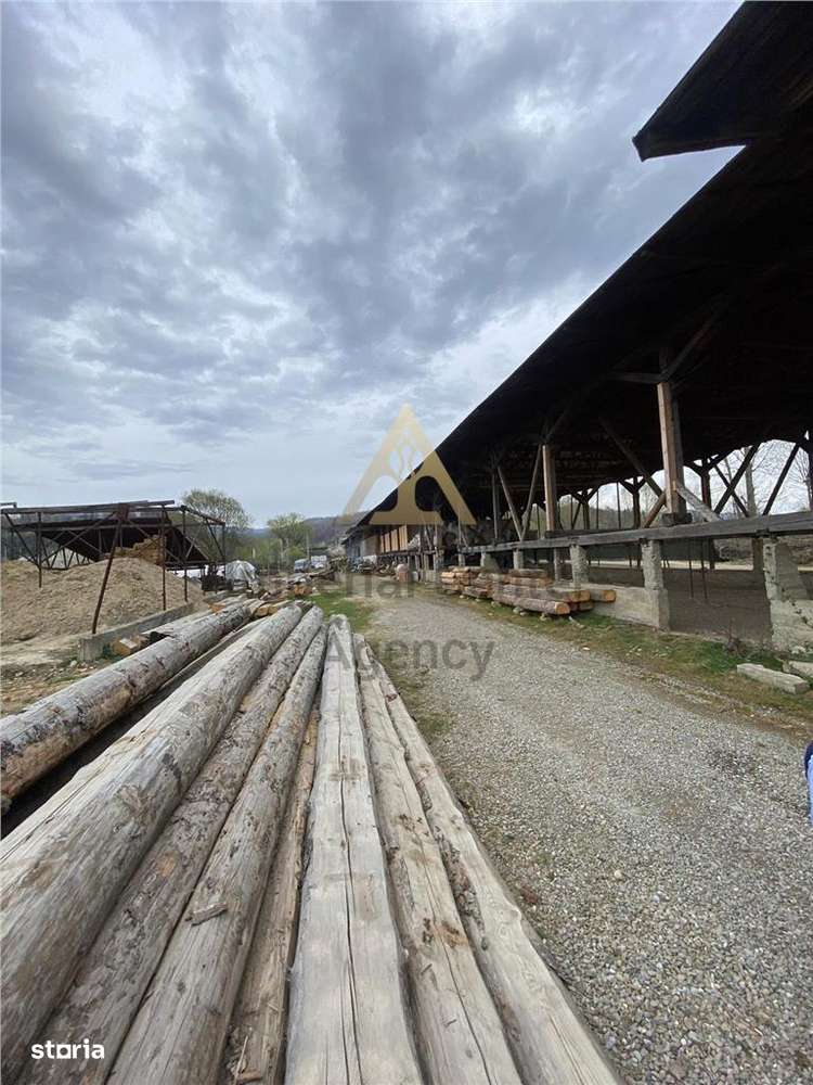 HALE-DEPOZIT DE VANZRE SI TEREN 10000 mp  AGAS jud.Bacau - Imagine principală: 4/17