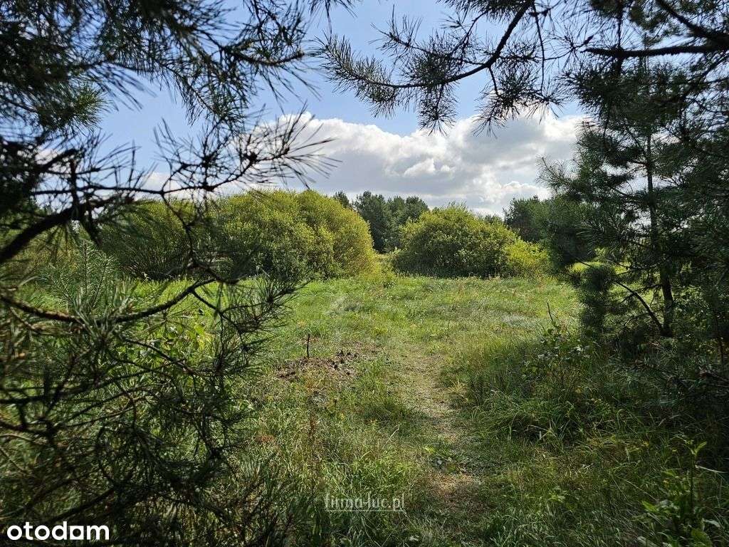 Ostatnie działki ul. Wrzosowa, Łośno - Pełny obrazek: 4/11