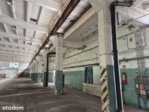 Lokal użytkowy, 5 024,50 m², Pionki-7