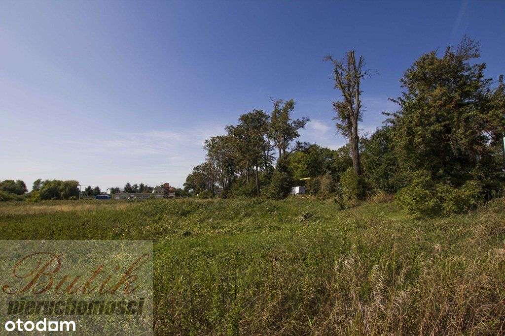Sprzedam działkę inwestycyjną w Wągrowcu 9714 m2-2