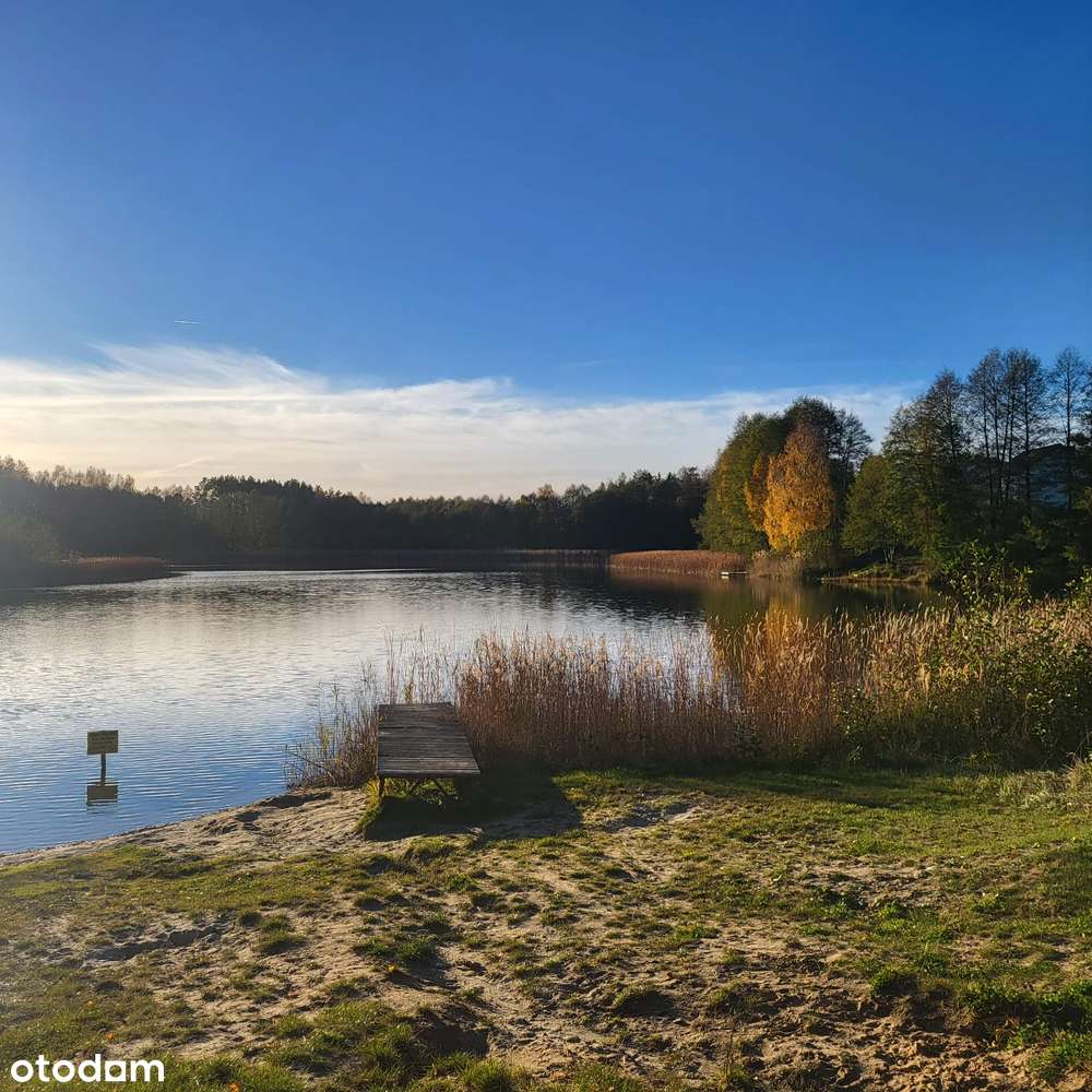 Ostatnia tak wyjątkowa działka pod lasem