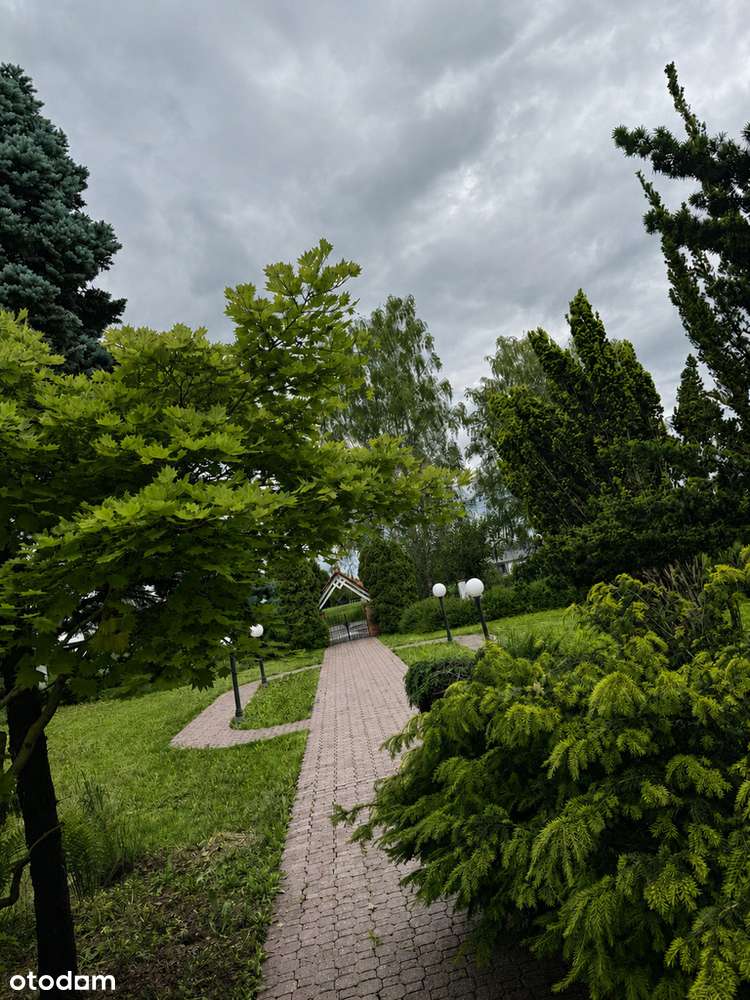 Bielsko-Biała | Wapienica | Willa z ogrodem-4