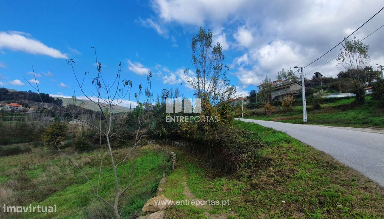 Venda Excelente Terreno, Campelo, Baião - Grande imagem: 5/30