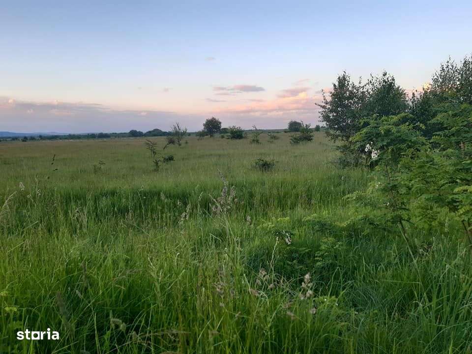 Teren intravilan, intabulat, cu utilitati, Valea Avrigului - Imagine principală: 2/3