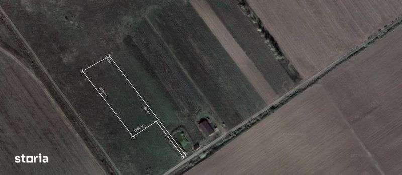 Teren agricol 6000mp Beharca (Cotofenii din Fata) - proprietar - Imagine principală: 4/7