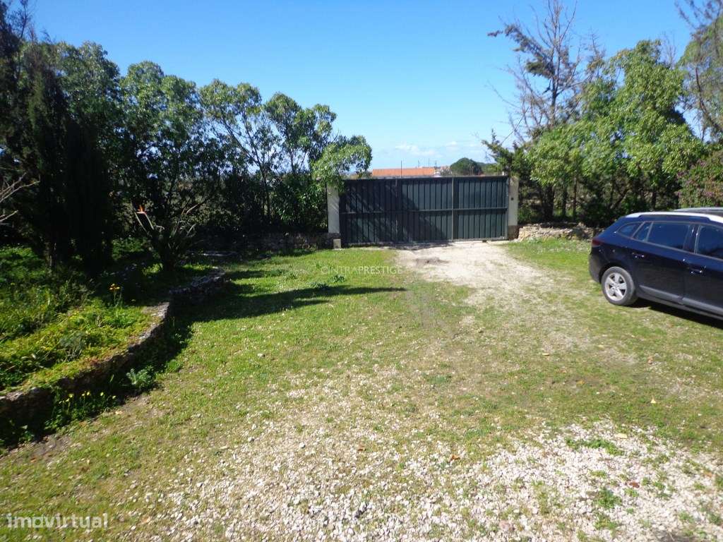 Quinta T7 localizada na localidade do Boco/Igreja Nova, concelho de... - Grande imagem: 5/33