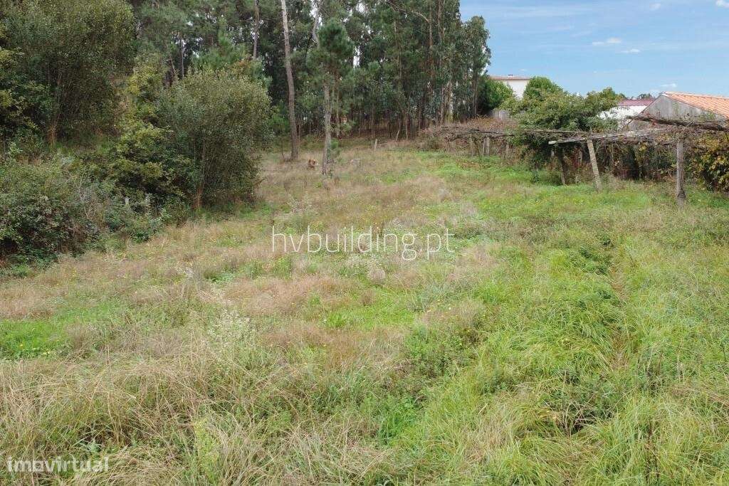 Terreno para construção com 1.565m2 em Cristelo, Barcelos - Grande imagem: 5/6