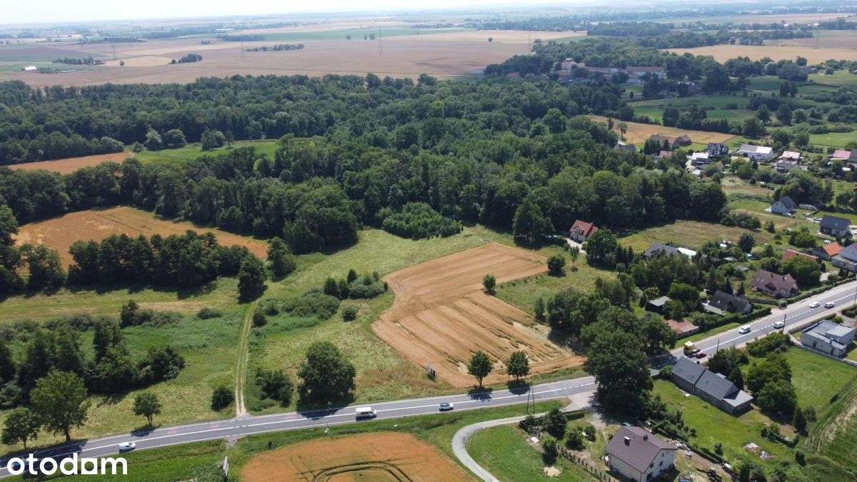 Mirosławice 0,8h pod zabudowę jednorodzinną - Pełny obrazek: 2/7