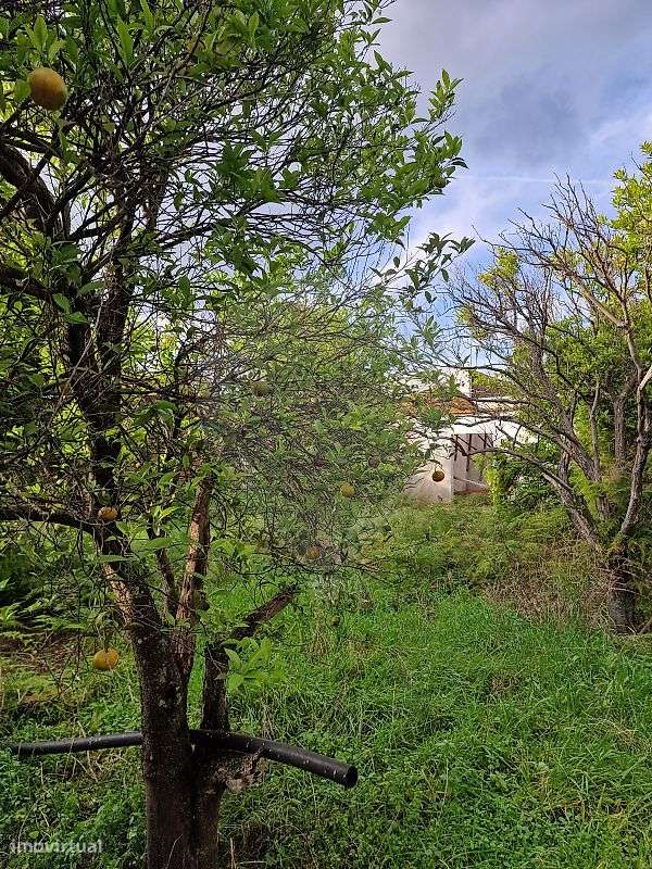 Moradia T2 para venda - Grande imagem: 5/6