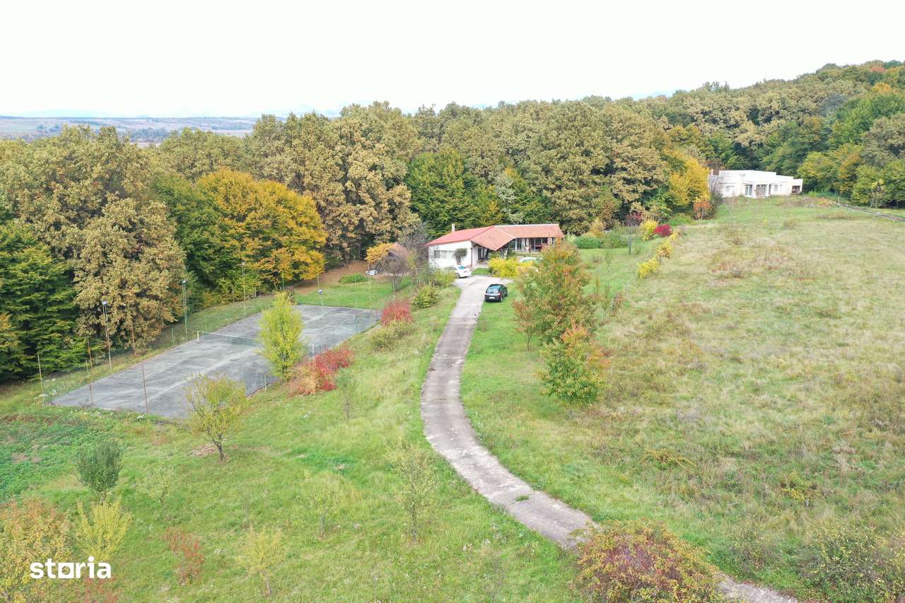 Proprietate exclusivista cu 60.000 mp teren și pădure - Imagine principală: 4/20