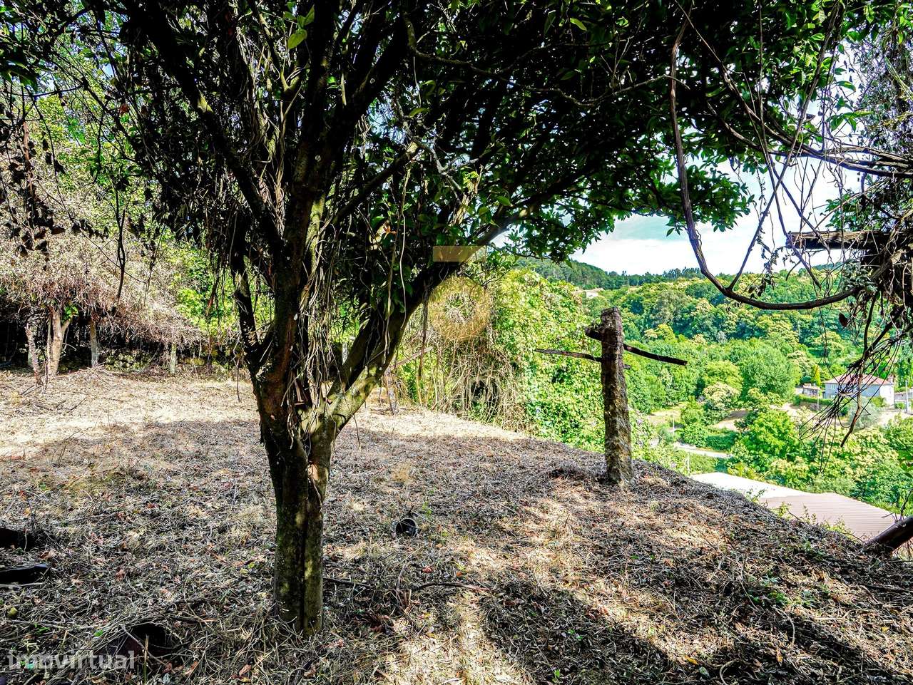Moradia para Restaurar T2 Venda em Fornelos,Cinfães-12