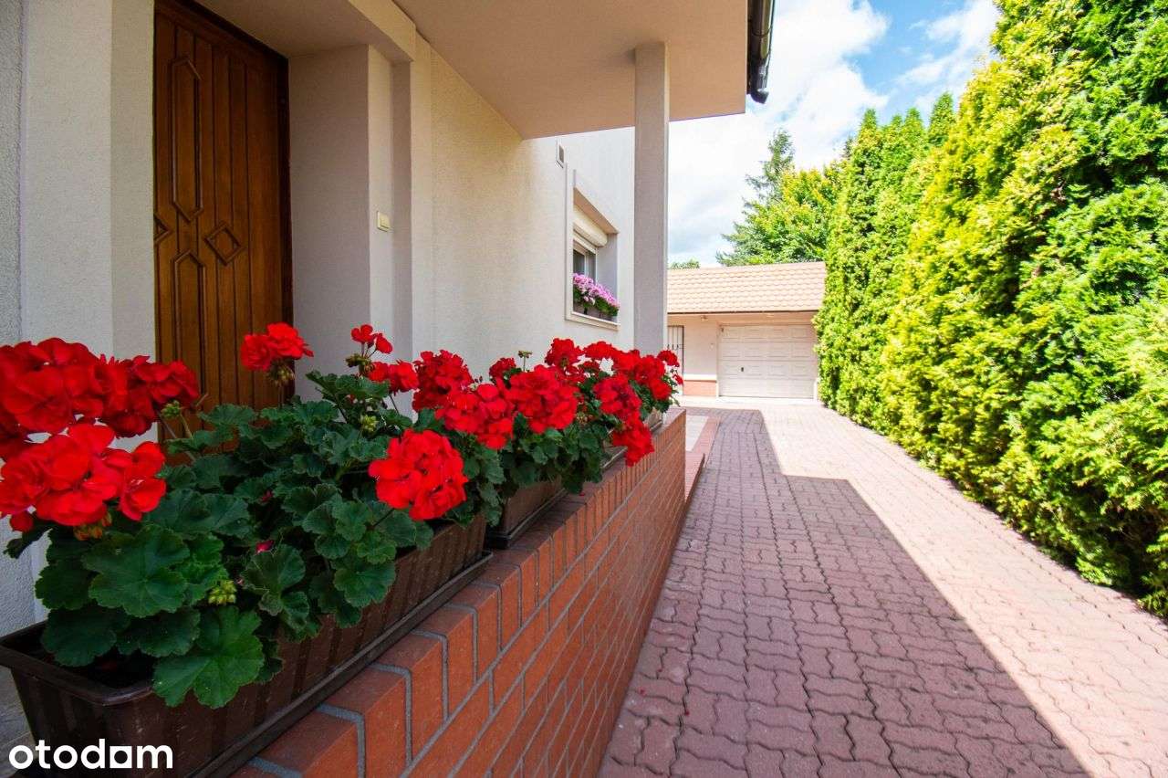 Bardzo zadbany, z dużym garażem, bez prowizji-3
