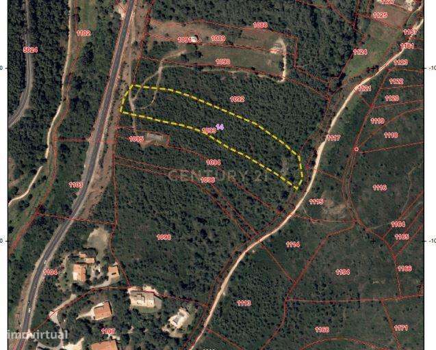 TERRENO - MALVEIRA DA SERRA - Grande imagem: 5/13