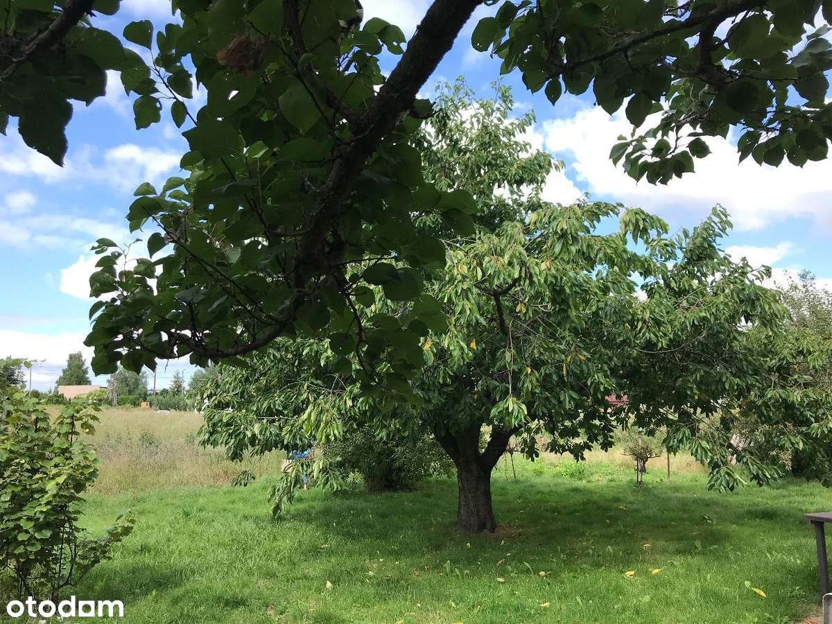 ROKIETNICA | k. Poznania | duża działka budowlana-0