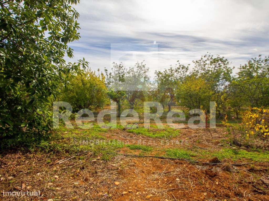 Moradia com 1. 556 hectares com furo e água da rede-20