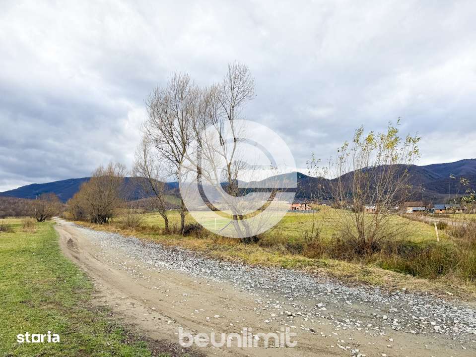 Teren intravilan in Tocile - 4354 m² - 2 fronturi - 49 euro/mp-14