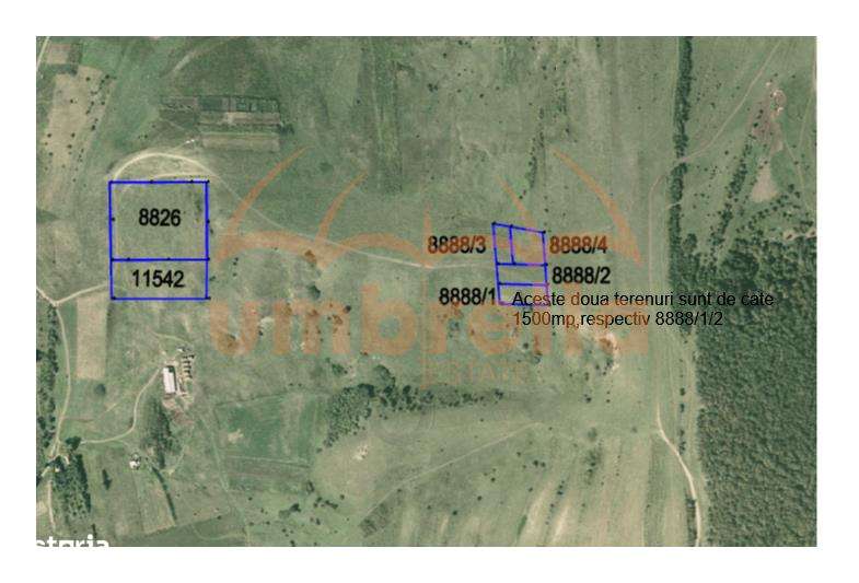 Teren de vanzare intravilan in Cluj-Napoca, Strada Soporului 1.500 mp - Imagine principală: 3/7