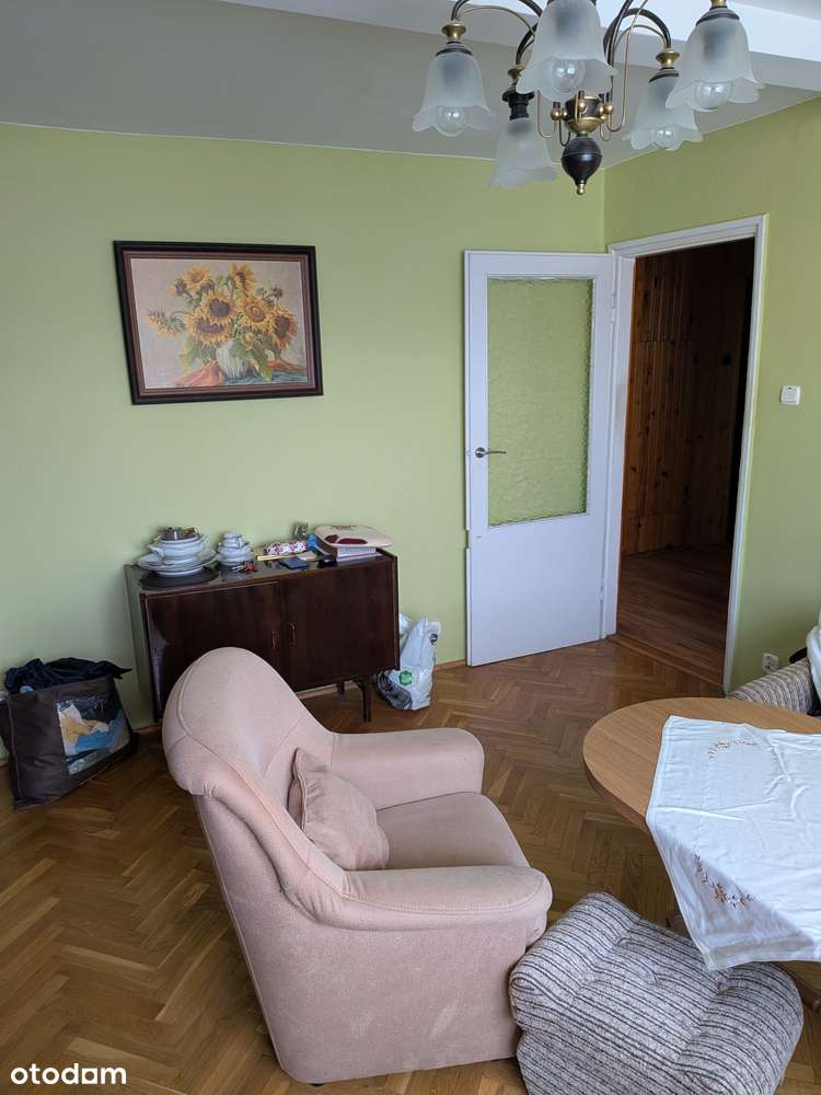 Bardzo ciekawa oferta-4