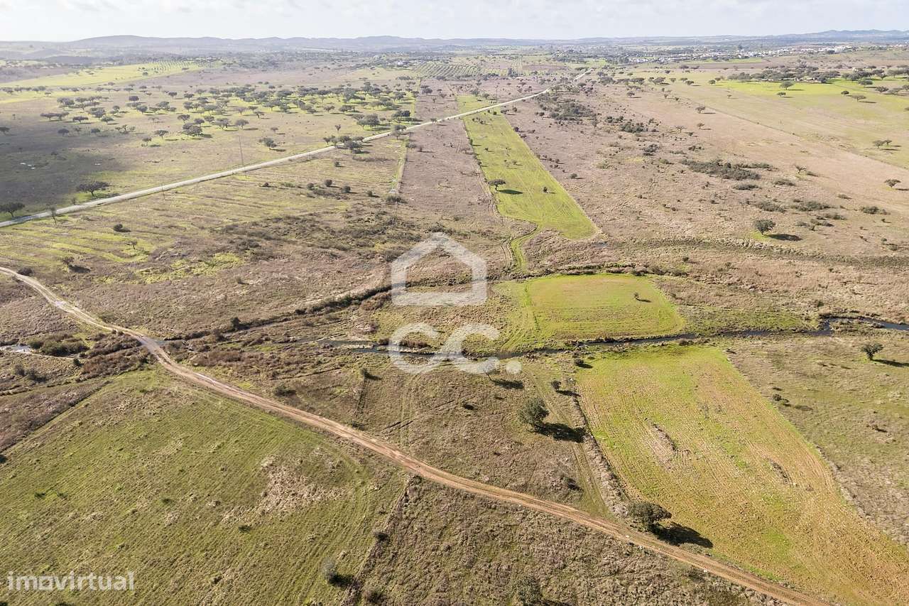 Terreno de 5,4 ha c/ Viabilidade de Construção | Capelins, Alandroal-23