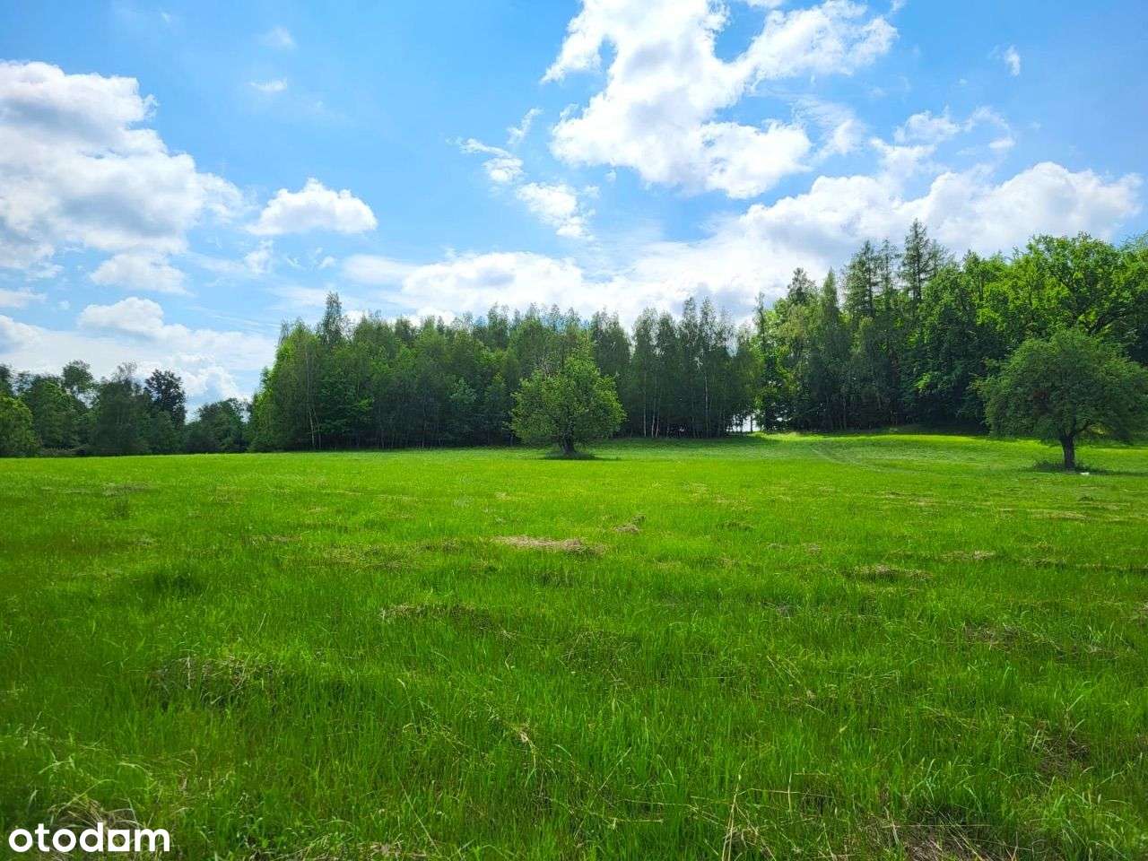 Urokliwa działka zagrodowa w otoczeniu lasu - Pełny obrazek: 3/11