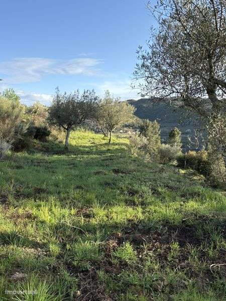 Terreno Murça 5100m - Grande imagem: 4/12