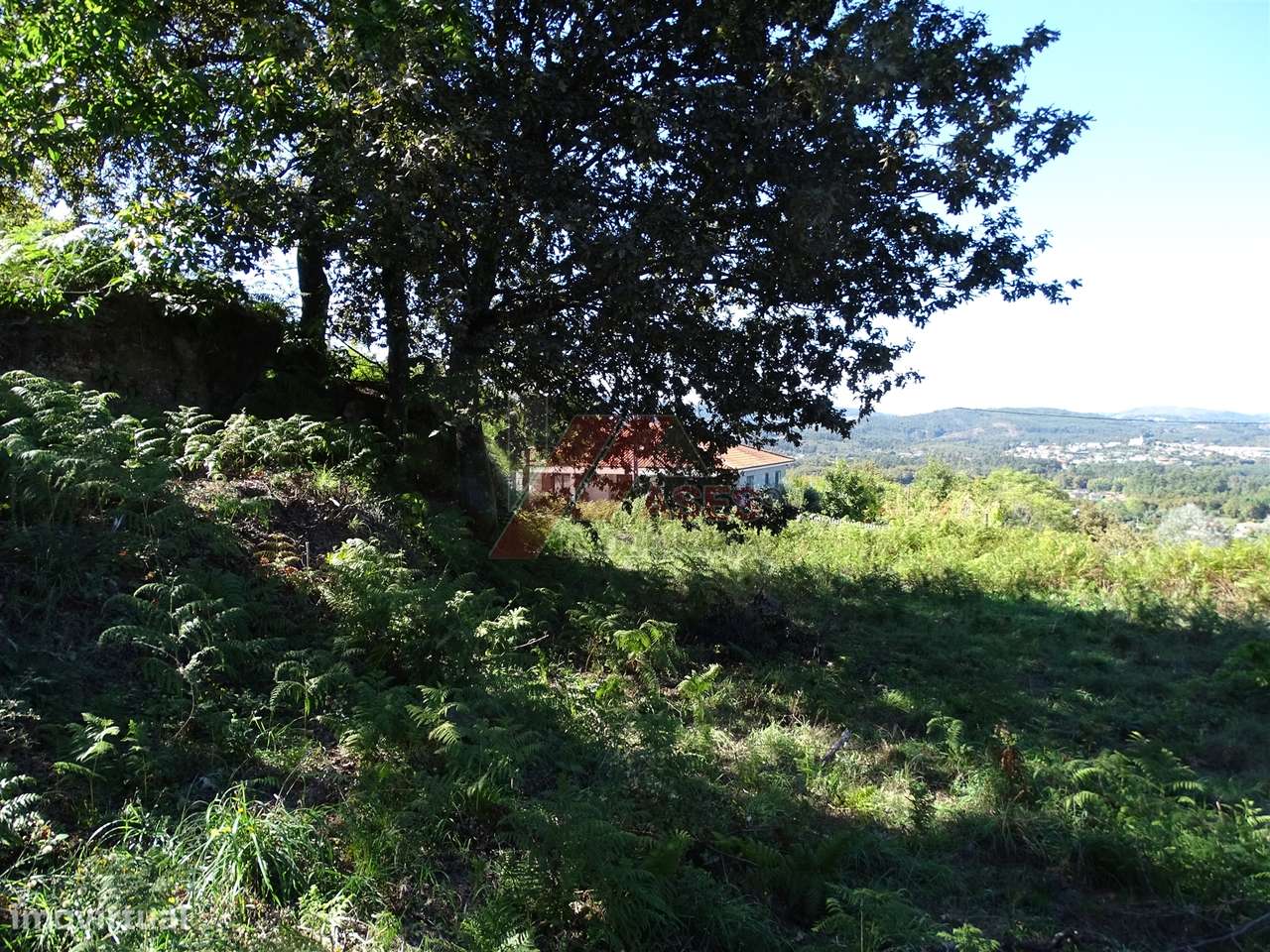 TERRENO PARA CONSTRUÇÃO EM SERAFÃO - FAFE!-3