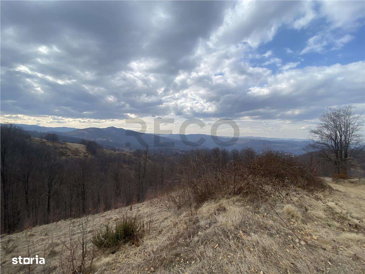 RECO Teren forestier, in EXCLUSIVITATE, sat Munteni - Imagine principală: 1/2