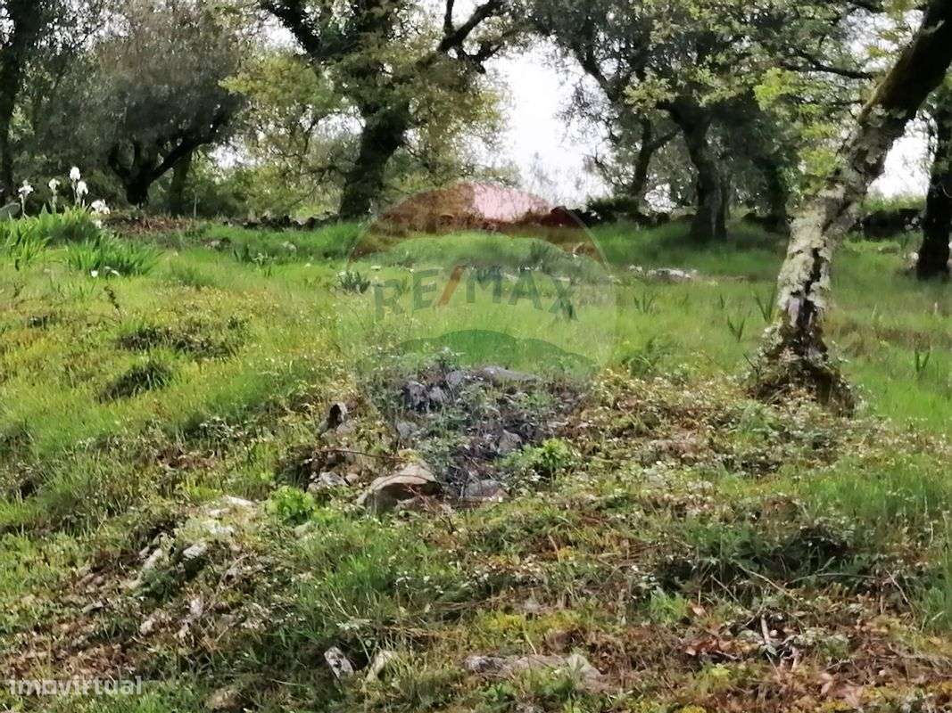 Terreno  para venda - Grande imagem: 2/8