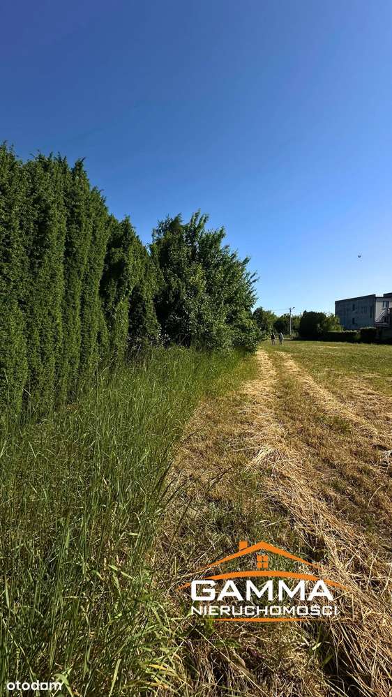 Na sprzedaż działka budowlana 2000m2 w Bierzglinku - Pełny obrazek: 4/6