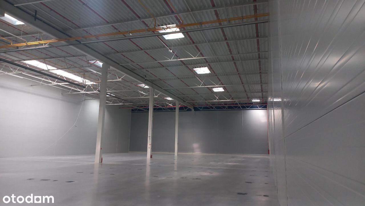 2.200 m2 hala i 250m2 biura - polecam! obok Poznań