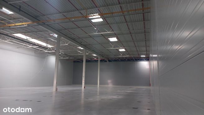 2.200 m2 hala i 250m2 biura - polecam! obok Poznań