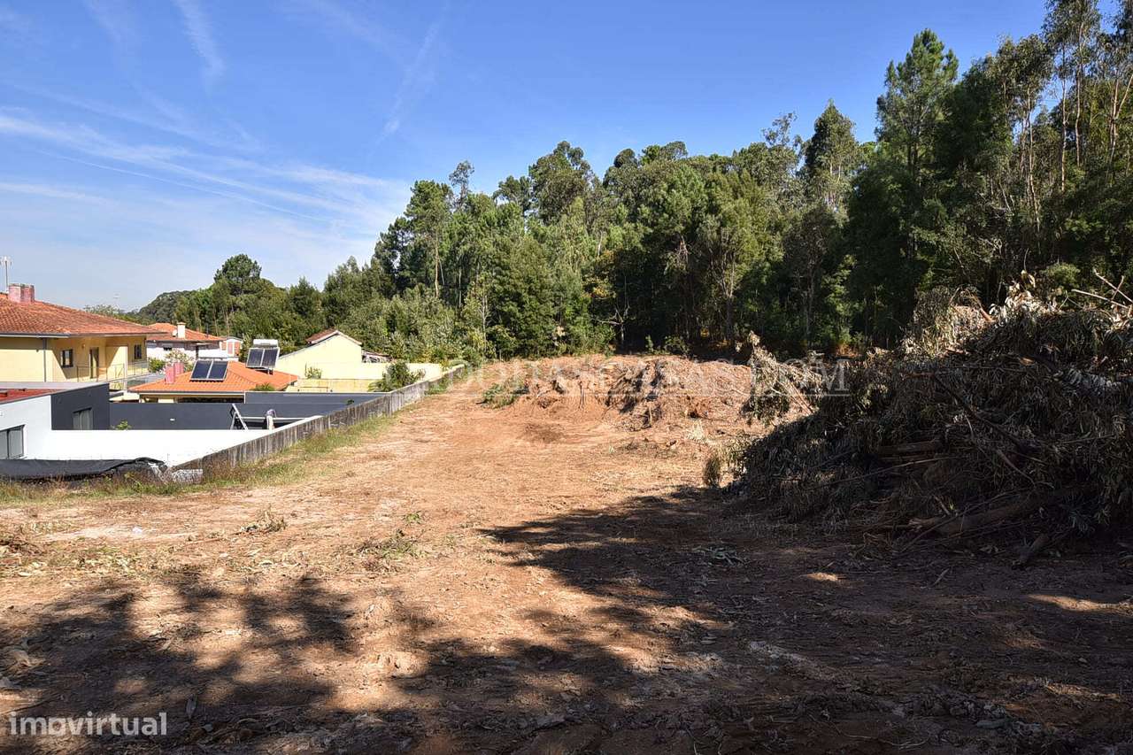 Terreno com 2540m2 - Santa Maria da Feira-5