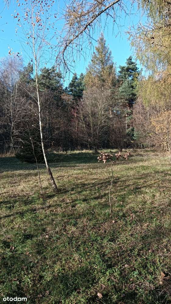 Działka budowlana w gminie Ogrodzieniec w Parku Krajobrazowym - Pełny obrazek: 5/12
