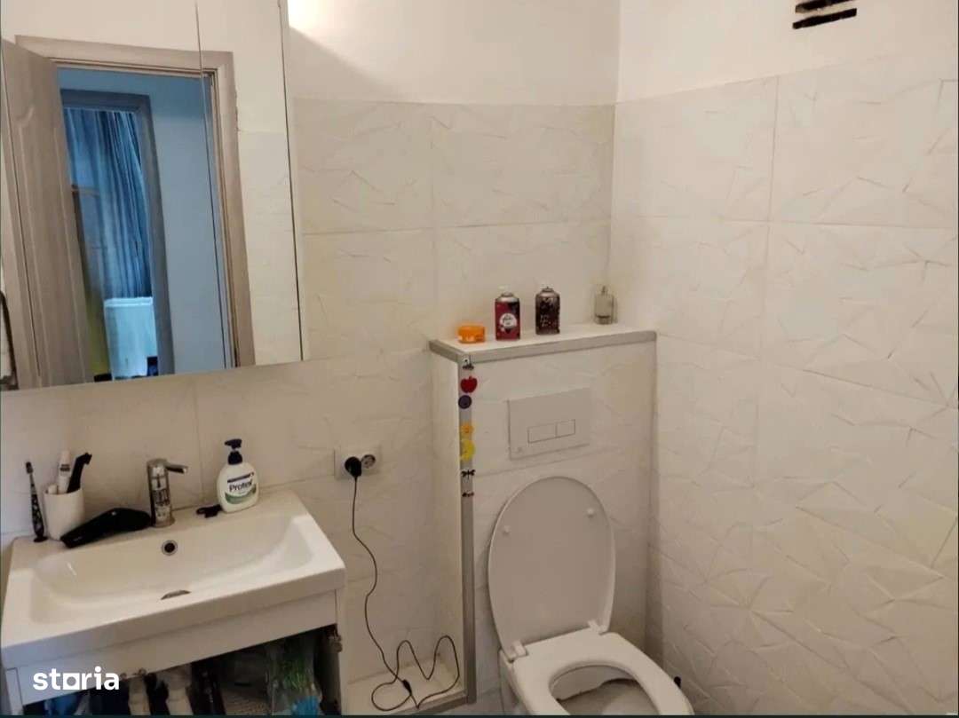 Baba Novac- Campia Libertatii, scoala Leonardo da Vinci-6