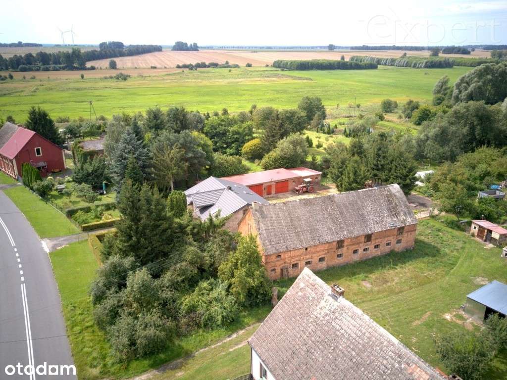 Działka rolna zabudowana w Brudzewicach - Pełny obrazek: 5/5