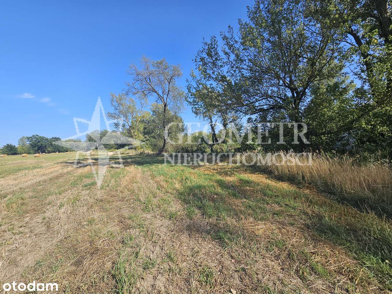 zielona piękna zaciszna - Pełny obrazek: 5/7