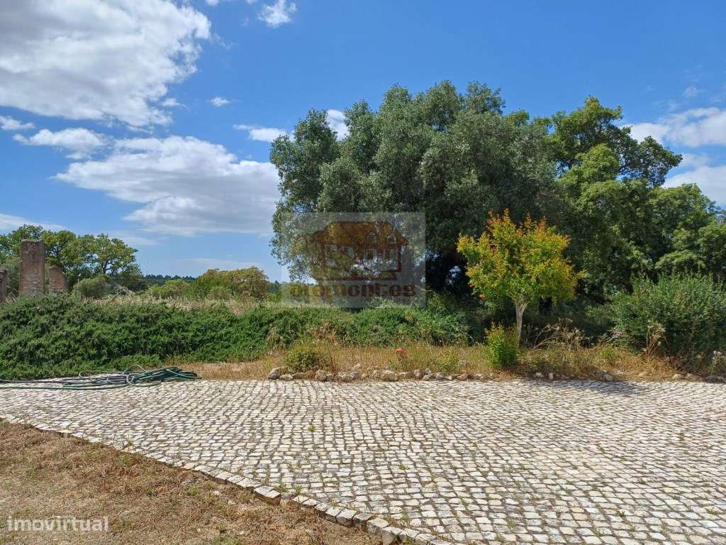 Monte Alentejano - Sul de Melides e 35 minutos da Comporta-18