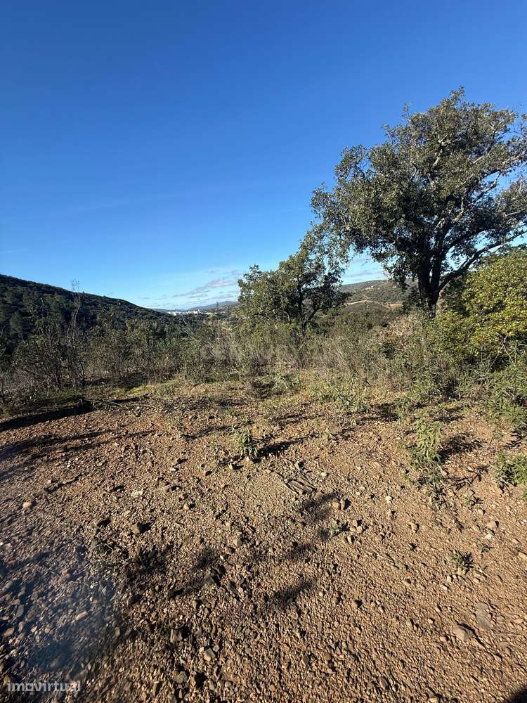 Terreno Rústico com Vista Deslumbrante em Porte Nobre, Querença, Loulé-3