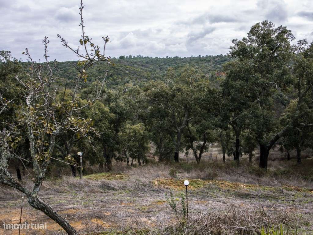 ** Fantástico Monte Alentejano com 50.000m2 Próximo a Maravilhosa C...-23