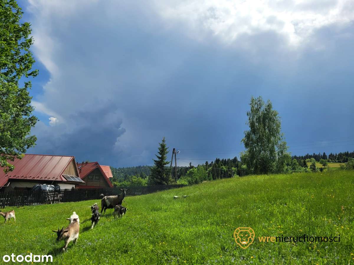 Inwestycyjnie - Dom pod lasem/Agroturystyka-12