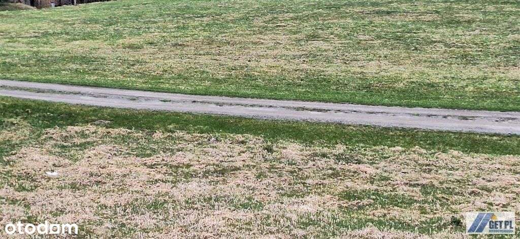 Malownicza - płaska - kwadratowa 10-arowa - Pełny obrazek: 5/6