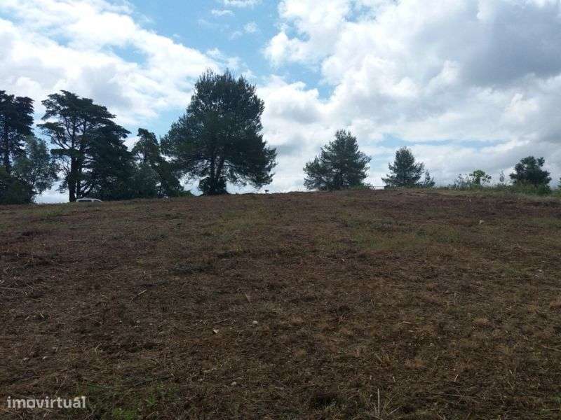Vende -se Terreno Rústico em Romeira - Grande imagem: 5/6